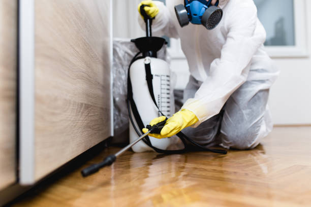 Best Best Pest Control Companies  in Myrtle Beach, SC