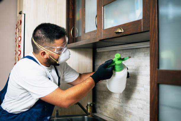 Best Mosquito Control Services  in Myrtle Beach, SC