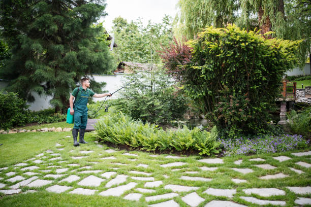 Best Residential Pest Control  in Myrtle Beach, SC