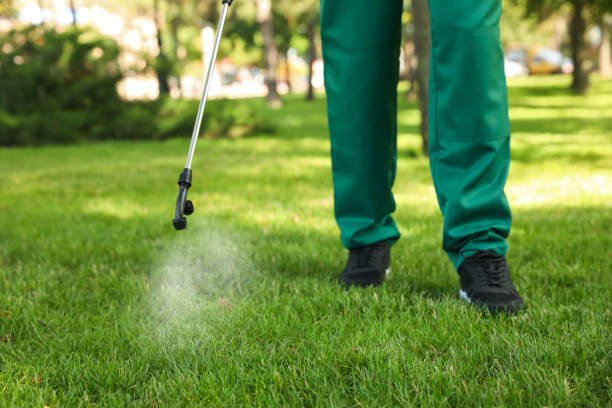 Best Termite Control Services  in Myrtle Beach, SC