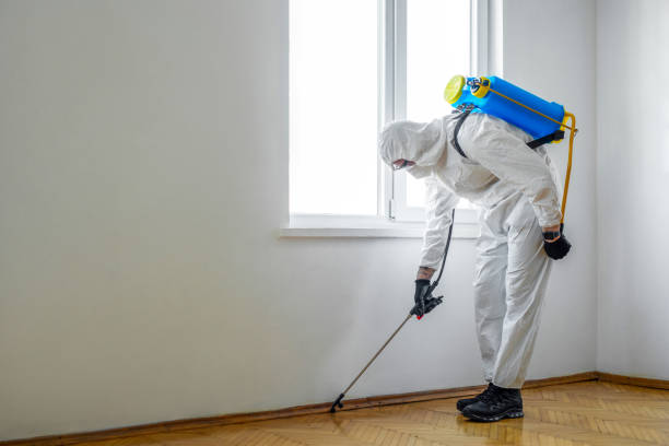 Best Mosquito Control Services  in Myrtle Beach, SC