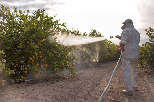  Myrtle Beach, SC Pest Control Pros