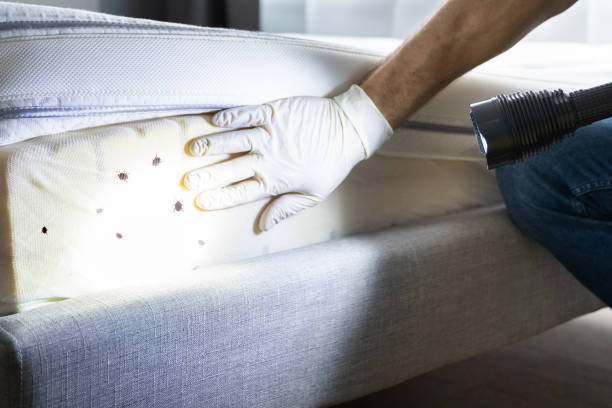 Best Commercial Pest Control Services  in Myrtle Beach, SC