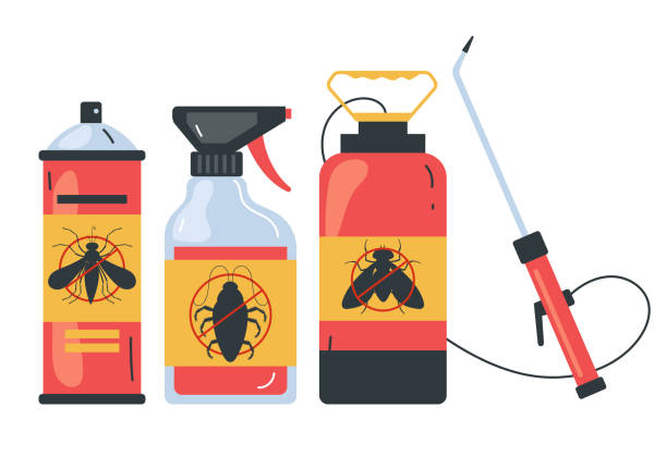Best Spider Control Near Me  in Myrtle Beach, SC