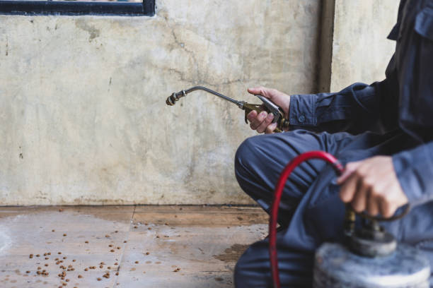 Best Pest Control for Businesses  in Myrtle Beach, SC