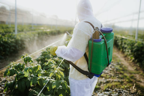 Best Wildlife Control Services  in Myrtle Beach, SC